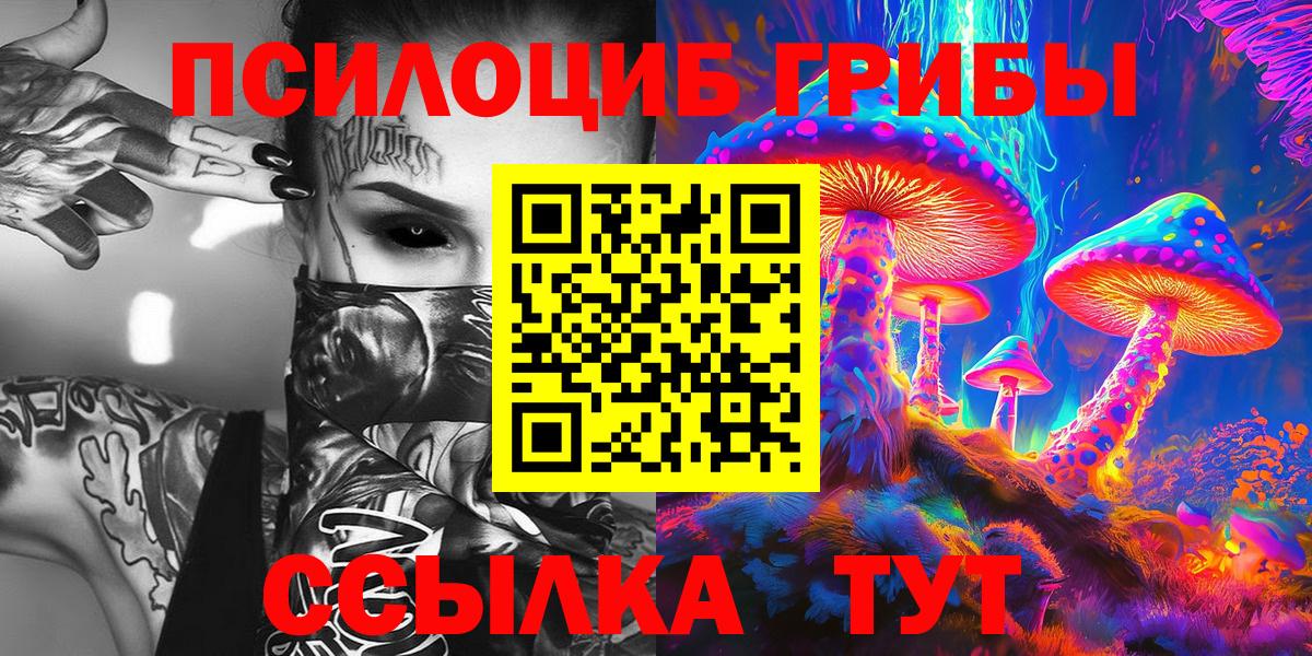 Псилоцибиновые грибы мицелий  Вход с VPN  Моздок 